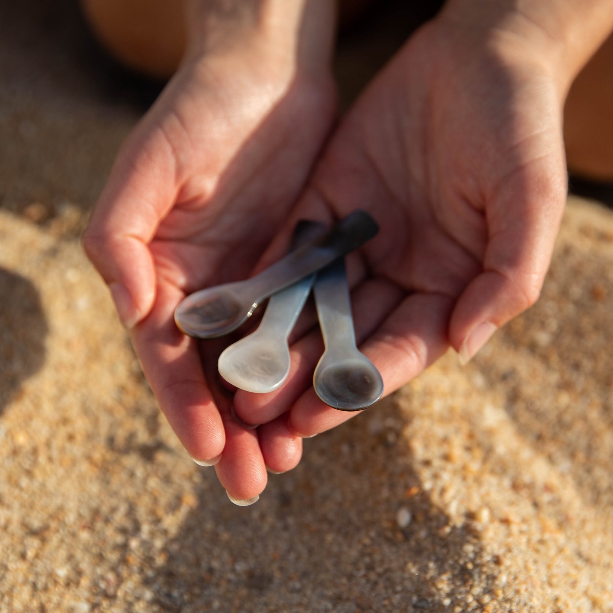 MultipleShellsWebsiteHand