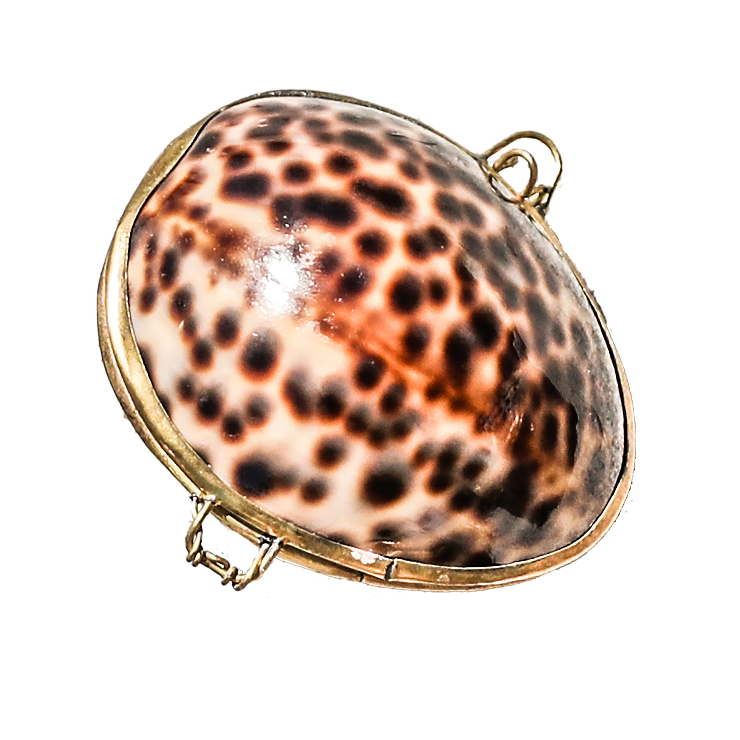 PassionFruitLipBalmTortoise
