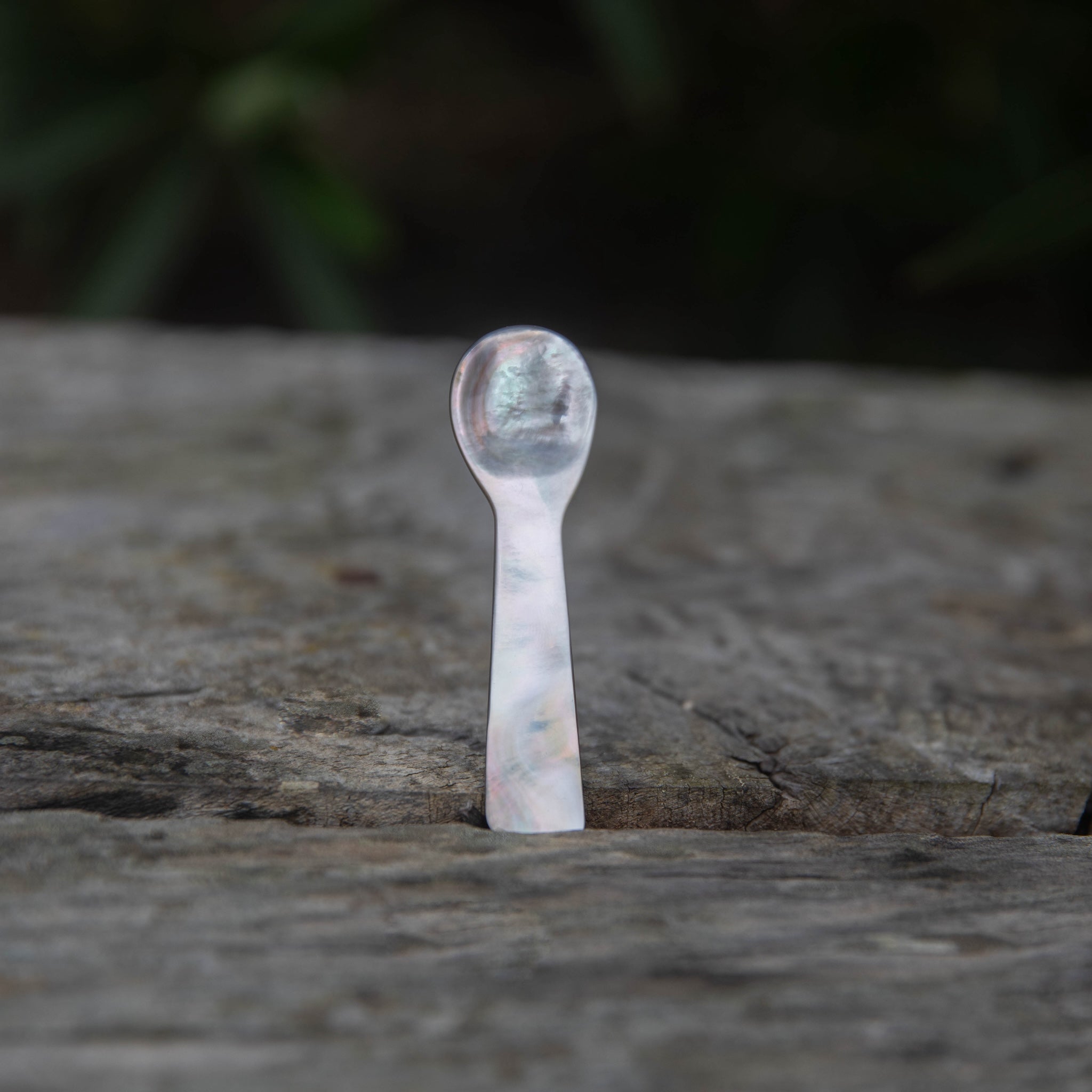 ShellSpoononwoodwebproductpage